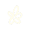 decoration