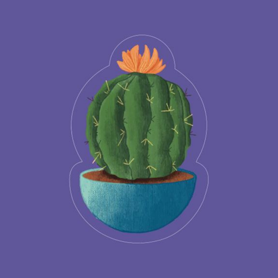 Cactus